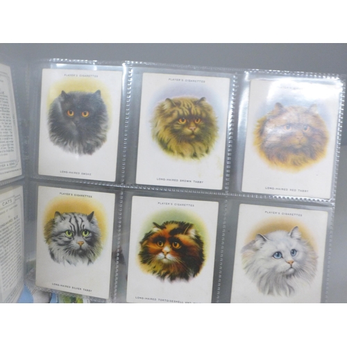 2030 - Two sets of cigarette cards, Player's cats and types of horses, catalogue value £220