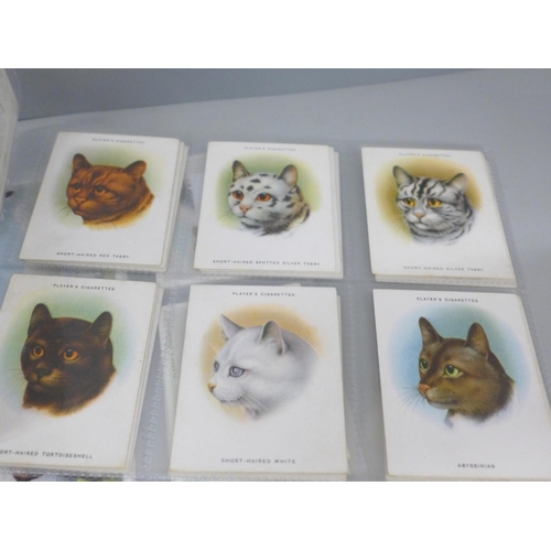 2030 - Two sets of cigarette cards, Player's cats and types of horses, catalogue value £220