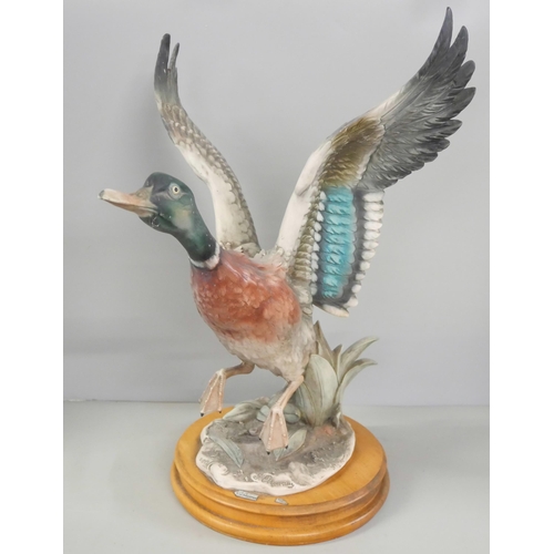 2268 - A large Italian Capodimonte duck statue