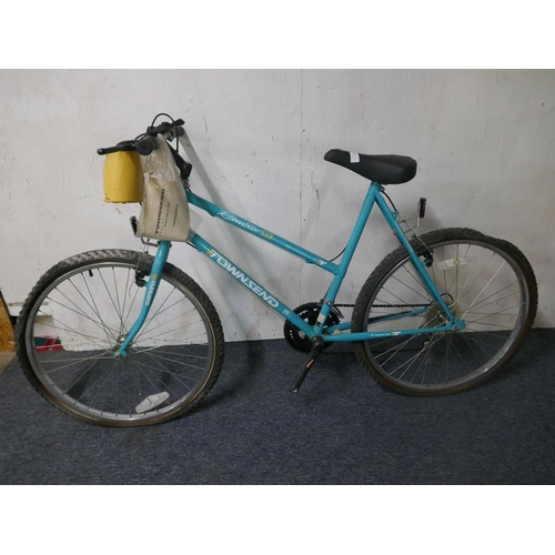 8029 - A Townsend Rambler 12-speed ladies mountain bike