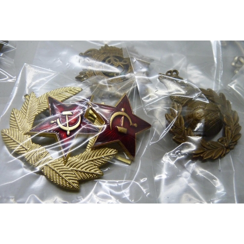 2222 - A collection of regimental pin badges including Royal Dublin Fusiliers, The Royal Scots, Royal Corps... 