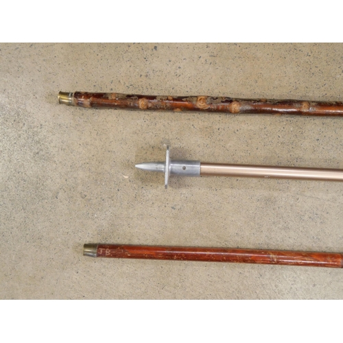 2284 - A horn handled walking cane, a shooting stick and one other