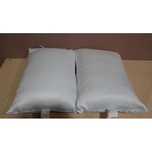 6244 - Hotel Grand  Summer/Winter Pillows (345-461) *This lot is subject to Vat