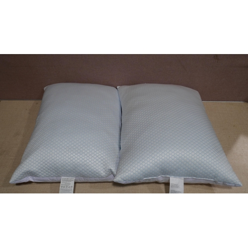 6197 - 2 x Hotel Grand Summer/Winter Pillows (345-254,335) *This lot is subject to Vat