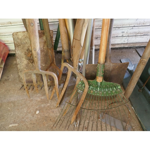 5135 - A bundle of 17 garden tools including rake, fork, hoe, etc.