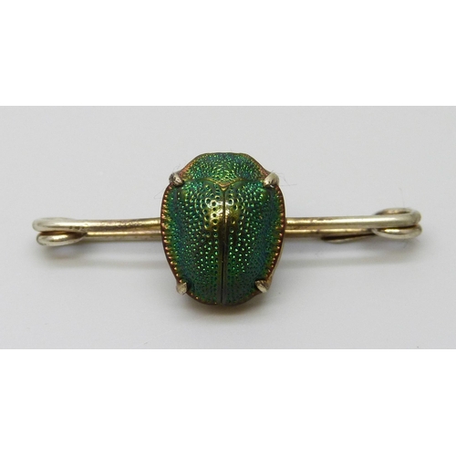 7050 - An antique scarab beetle brooch in vintage box