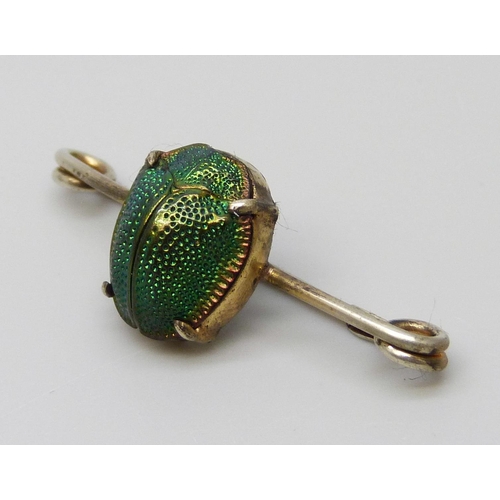 7050 - An antique scarab beetle brooch in vintage box