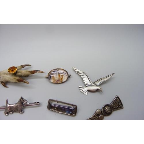 7165 - A collection of silver and other brooches, including silver Scottie brooch, silver bird brooch marke... 