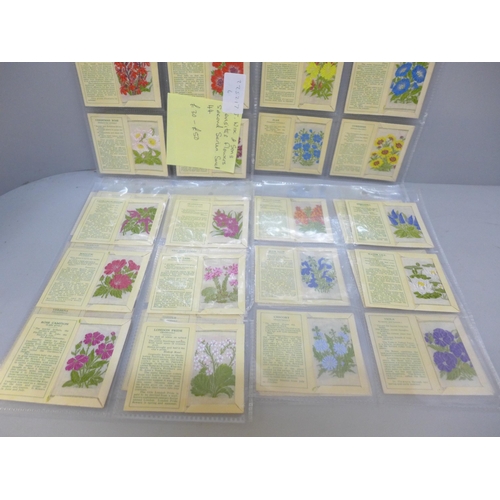 2027 - Tobacco cigarette cards; J Wix & Sons, Kensitas Flowers, Second Series, small, 44, every flower repr... 