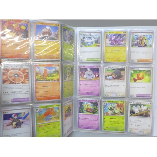 2039 - Full Pikachu binder of Japanese Pokémon cards, 324 cards, binder includes 72 holographic rare and do... 