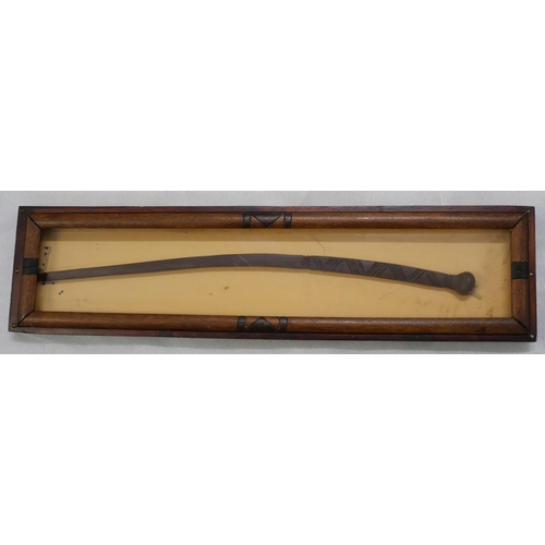 2160 - A tribal fighting stick in a presentation glass fronted case