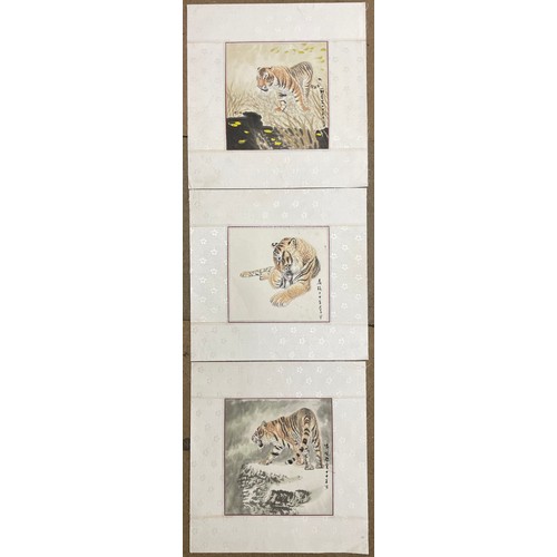 248 - A set of three Japanese studies of tigers, signed lower right, polychrome woodblock prints on paper