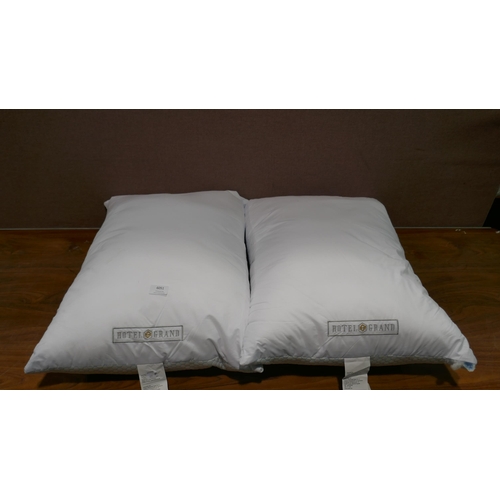 6051 - Two Hotel Grand Pillow Summer/Winter Pillows (348-121) *This lot is subject to Vat