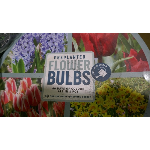 6383 - Mixed Pre-Planted Bulbs   (348-303,304) *This lot is subject to Vat