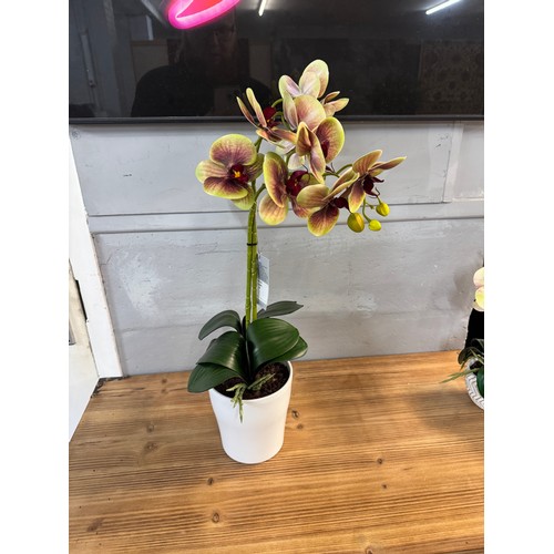 3003 - A tall two stemmed artificial Orchid, H 55cms (55764110)   #