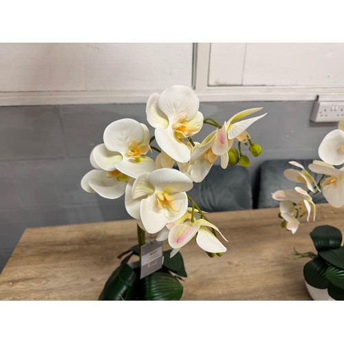 3022 - A tall two stemmed artificial Orchid, H 55cms (54864110)   #