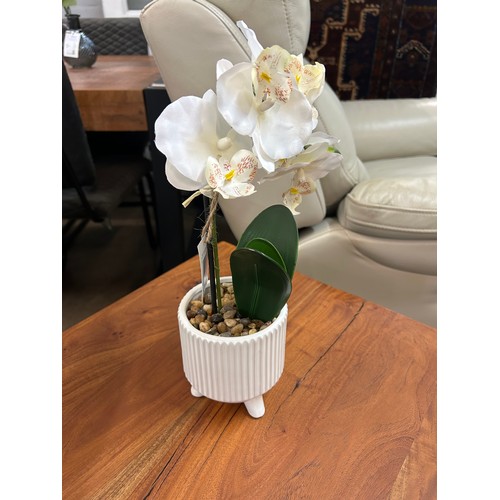 3016A - An ornamental white orchid in a ceramic pot - H42cms (67690306)