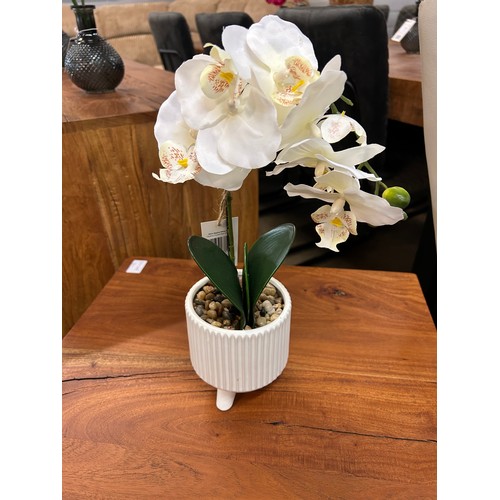 3016A - An ornamental white orchid in a ceramic pot - H42cms (67690306)