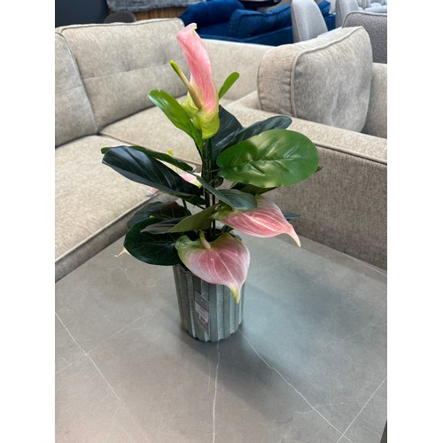 3029 - An artificial Anthurium and Ficus potted arrangement, H 50cms (50663117)   #