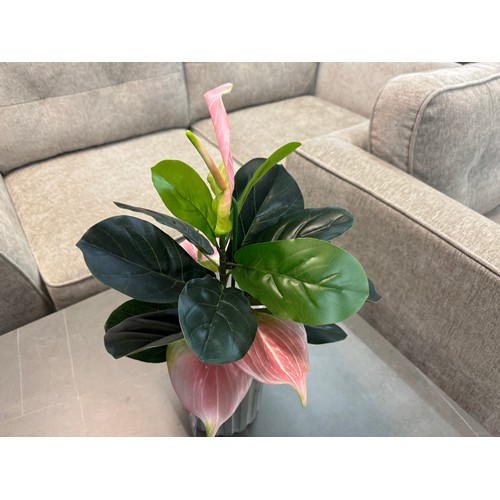 3029 - An artificial Anthurium and Ficus potted arrangement, H 50cms (50663117)   #