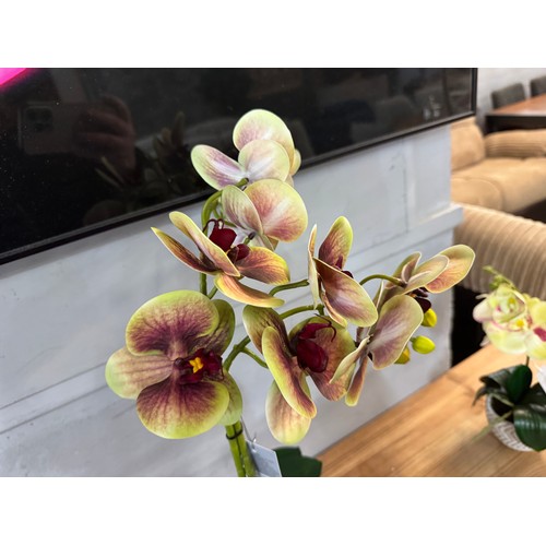 3013 - A tall two stemmed artificial Orchid, H 55cms (55764110)   #