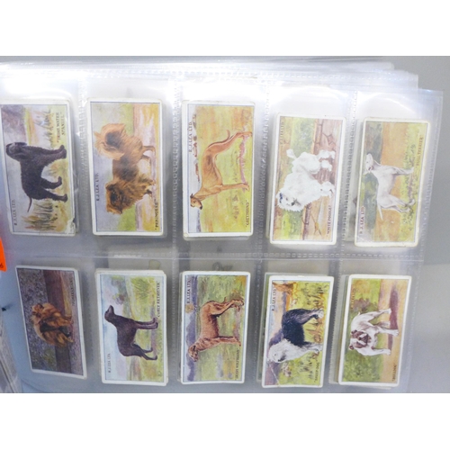 2180F - A collection of football themed and other cigarette cards, various brands