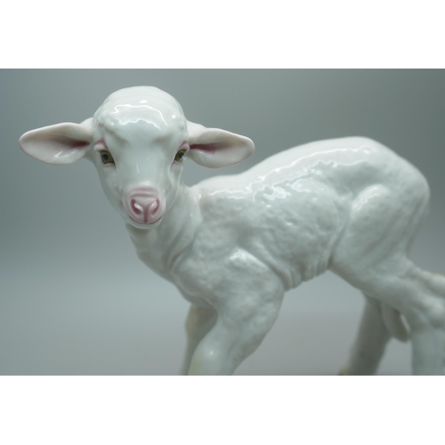 2202 - An early 20th Century Allach porcelain lamb figure, designed by Theodor Karner