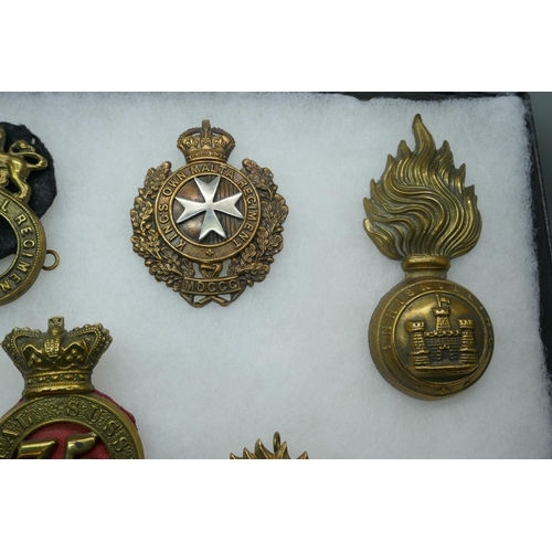 2206 - A collection of military regimental badges, mainly 19th century, also a buckle