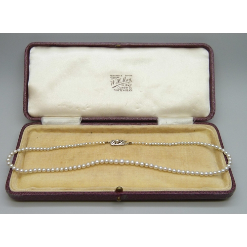 7086 - A string of pearls on a white metal clasp set with two old cut diamonds