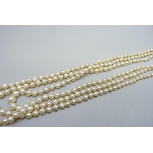 7150 - A three string pearl necklace with a silver clasp, 55g