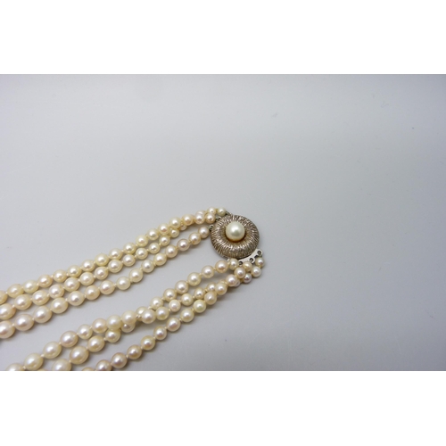 7150 - A three string pearl necklace with a silver clasp, 55g