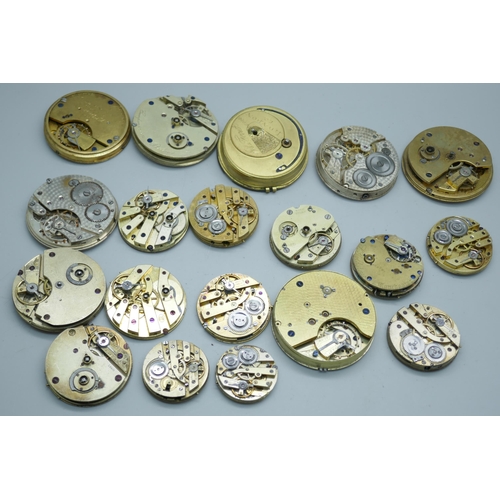 7311 - Pocket watch movements and dials