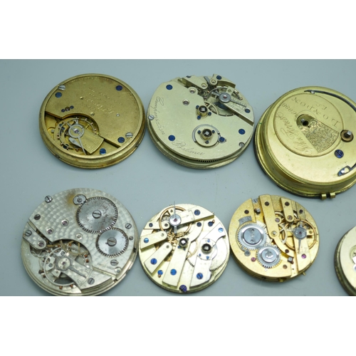 7311 - Pocket watch movements and dials