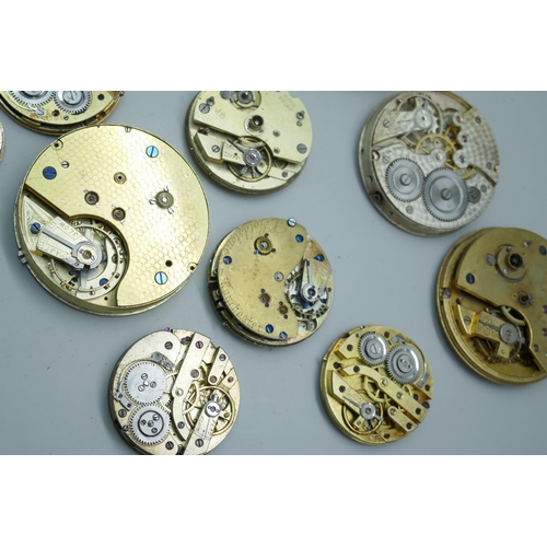 7311 - Pocket watch movements and dials