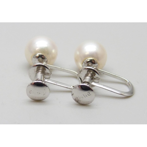 7032 - A pair of 14k gold and pearl earrings, 1.8g, screw backs