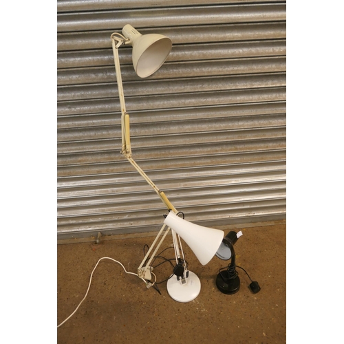 5438 - 2 angle-poise style lamps and a flexible desk lamp