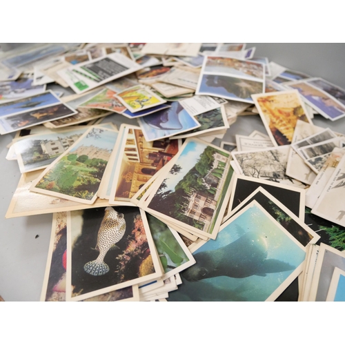 2089 - A large quantity of collectors cards