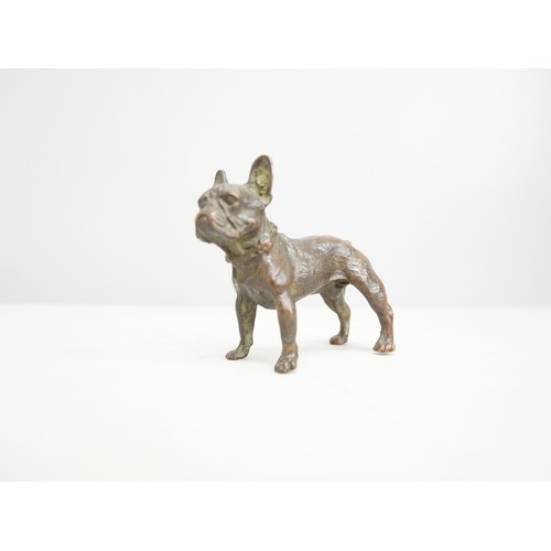 2294 - A bronze model of a French Bulldog, height 6cm