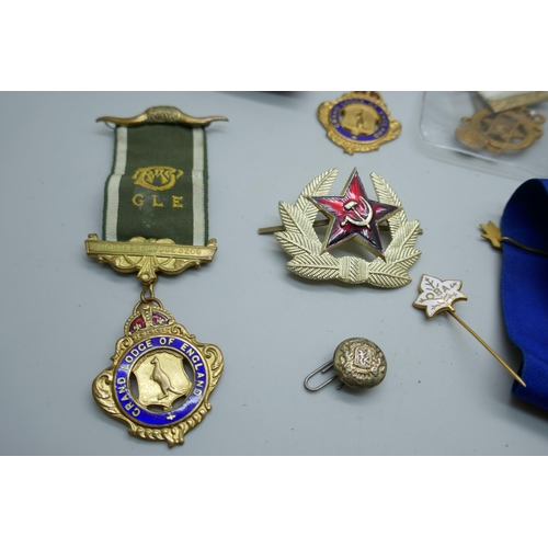 2191 - A collection of Masonic and RAOB medals and insignia