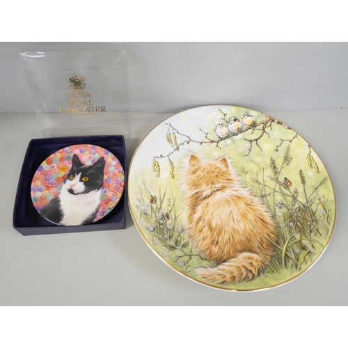 2249 - Two boxes of cat themed items comprising teapots, wall plates, Coalport and Royal Worcester and cat ... 