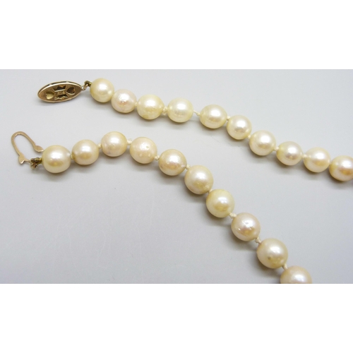 7018 - A pearl necklace with a 14k gold clasp, 29g, 37.5cm