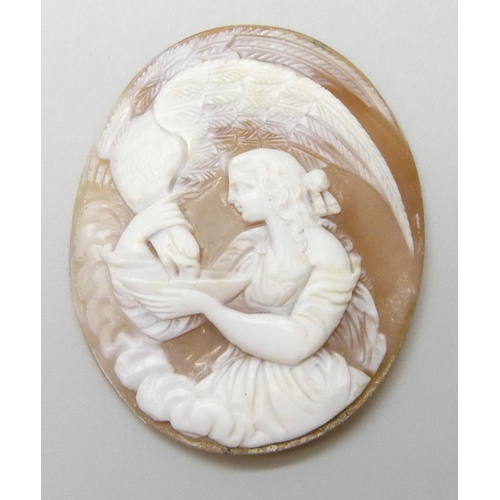 7034 - A yellow metal mounted cameo brooch, 11.9g, 5.5cm, cameo loose