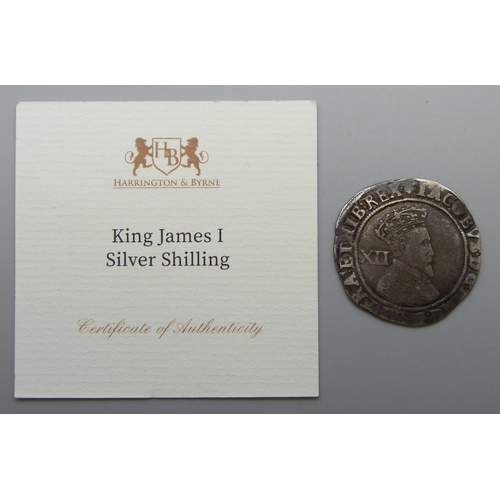 7188 - Coins; James I (1604-1625) silver shilling encapsulated with certificate