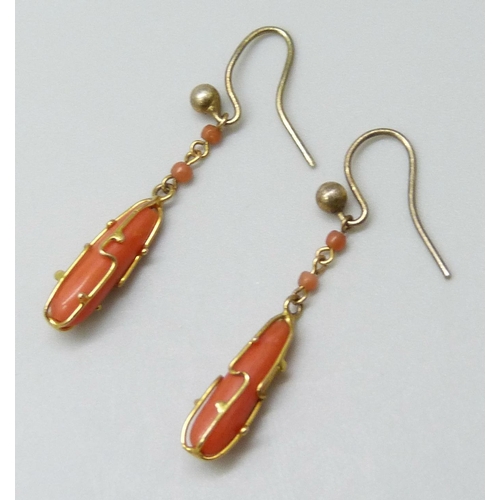 7020 - A 19th Century yellow metal and coral ring, 1.5g, J, and a pair of gilt earrings also set with coral