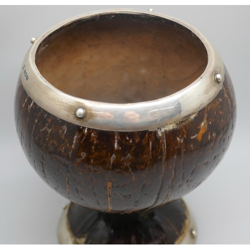 7241 - A silver mounted coconut cup, James Deakin & Sons, Sheffield 1904, 13.5cm