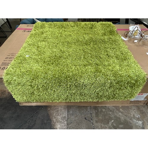 3179 - A full pile green shaggy rug