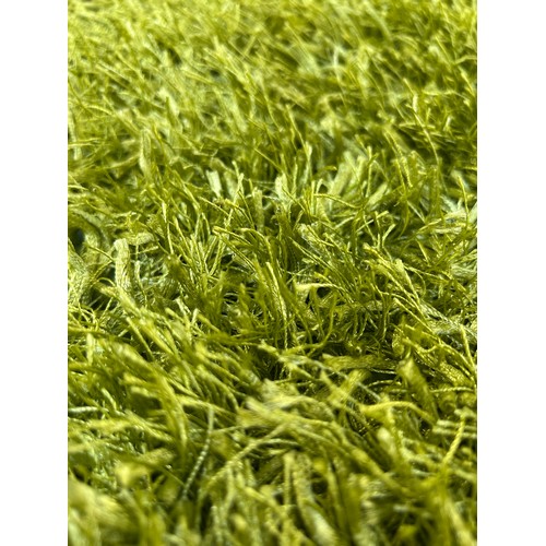 3179 - A full pile green shaggy rug