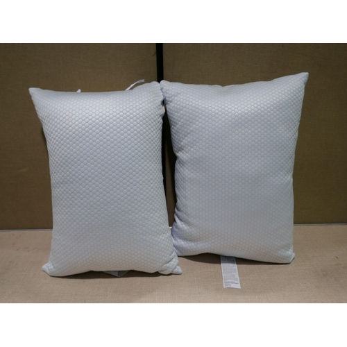 6267 - Two Hotel Grand Summer/Winter Pillows (347-283) *This lot is subject to Vat