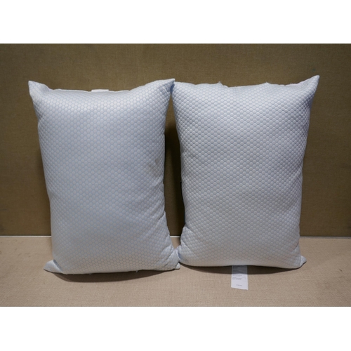 6193 - Two Hotel Grand Summer/Winter Pillows   (349-287) *This lot is subject to VAT