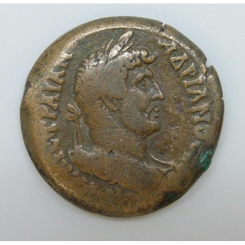 7176 - Hadrian (117-138), Drachm Alexandria mint (132-133AD) reverse Dioscuri holding spear and swords, 24.... 